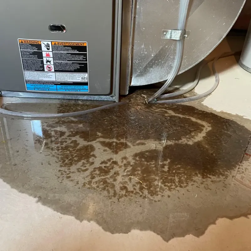 Appliance Leak Cleanup in Pleasants County, WV