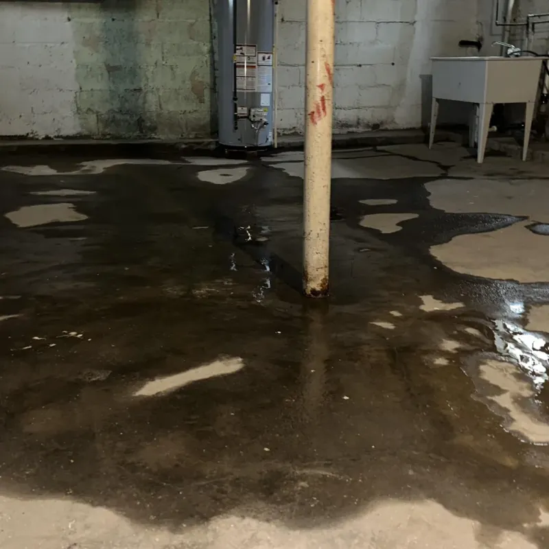Emergency Water Extraction And Removal in Pleasants County, WV